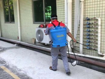 深圳臭蟲防治 工廠、宿舍、辦公室與家庭全面消殺指南