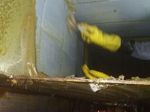 專業(yè)清洗油煙管道，天津保潔服務(wù)助力潔凈生活